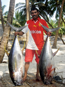 Tuna Fishing in the Atolls